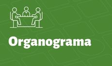 Banner Organograma