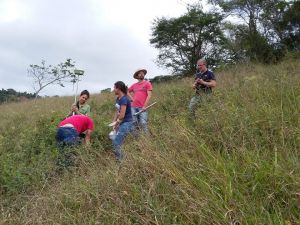 2018 - Visita Técnica - Propriedade Rural de Alto Capim